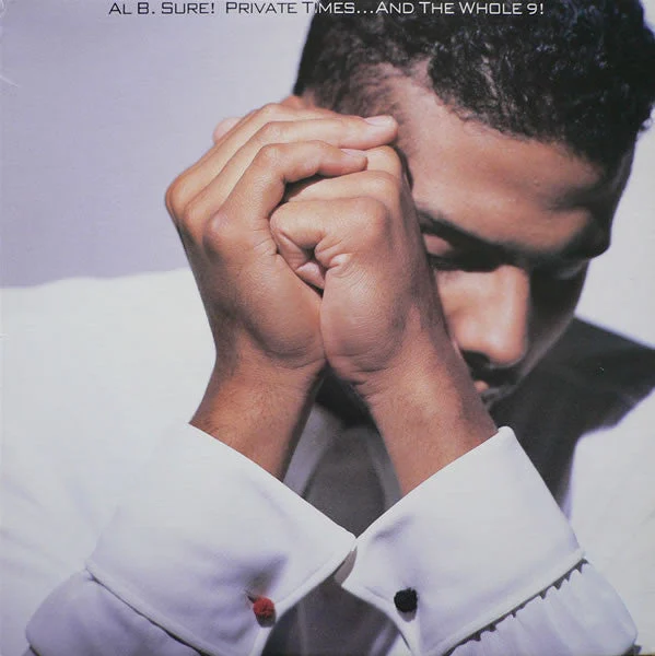 Al B. Sure! - Private Times...And The Whole 9! (LP, Album) (1990) [Used Vinyl]