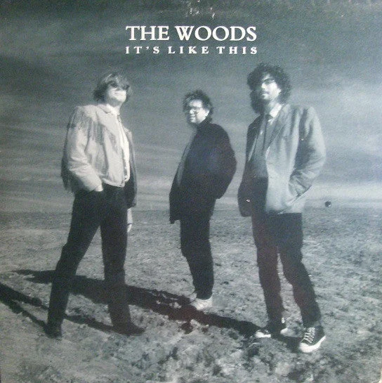 The Woods- It's Like This (LP, Album) (Very Good Plus (VG+))